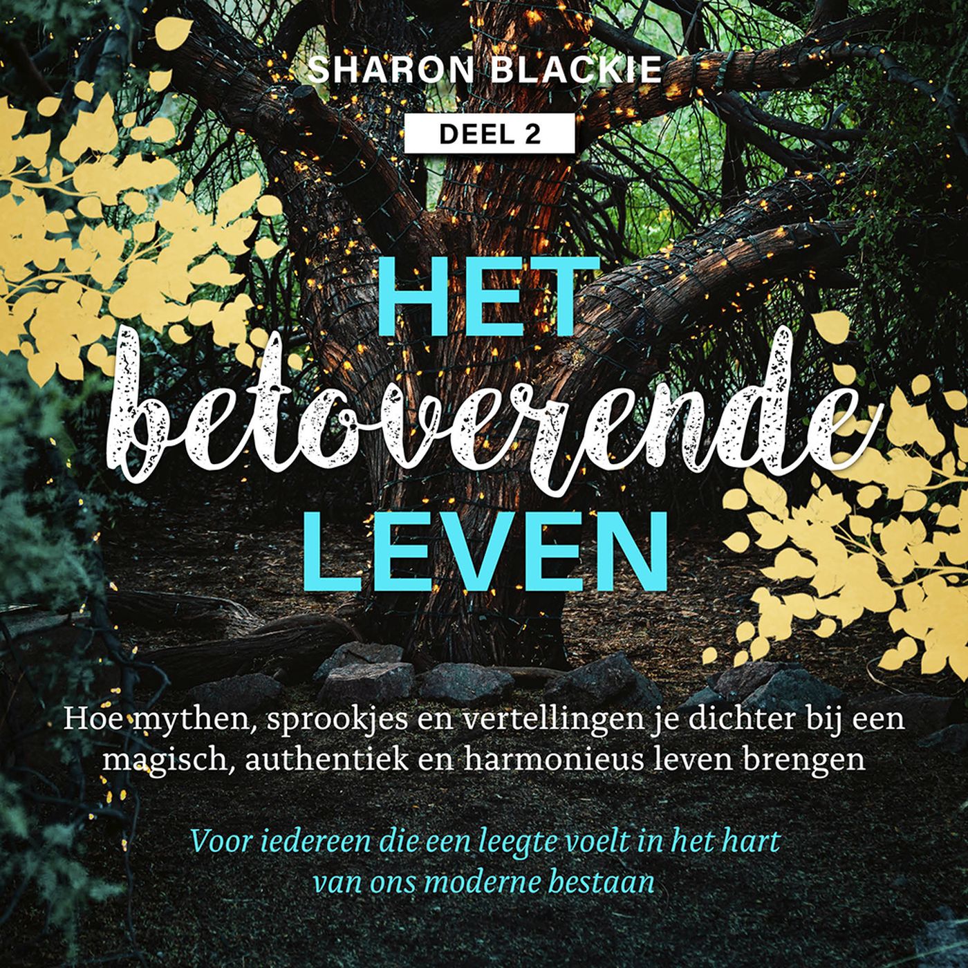 Omslag van 2