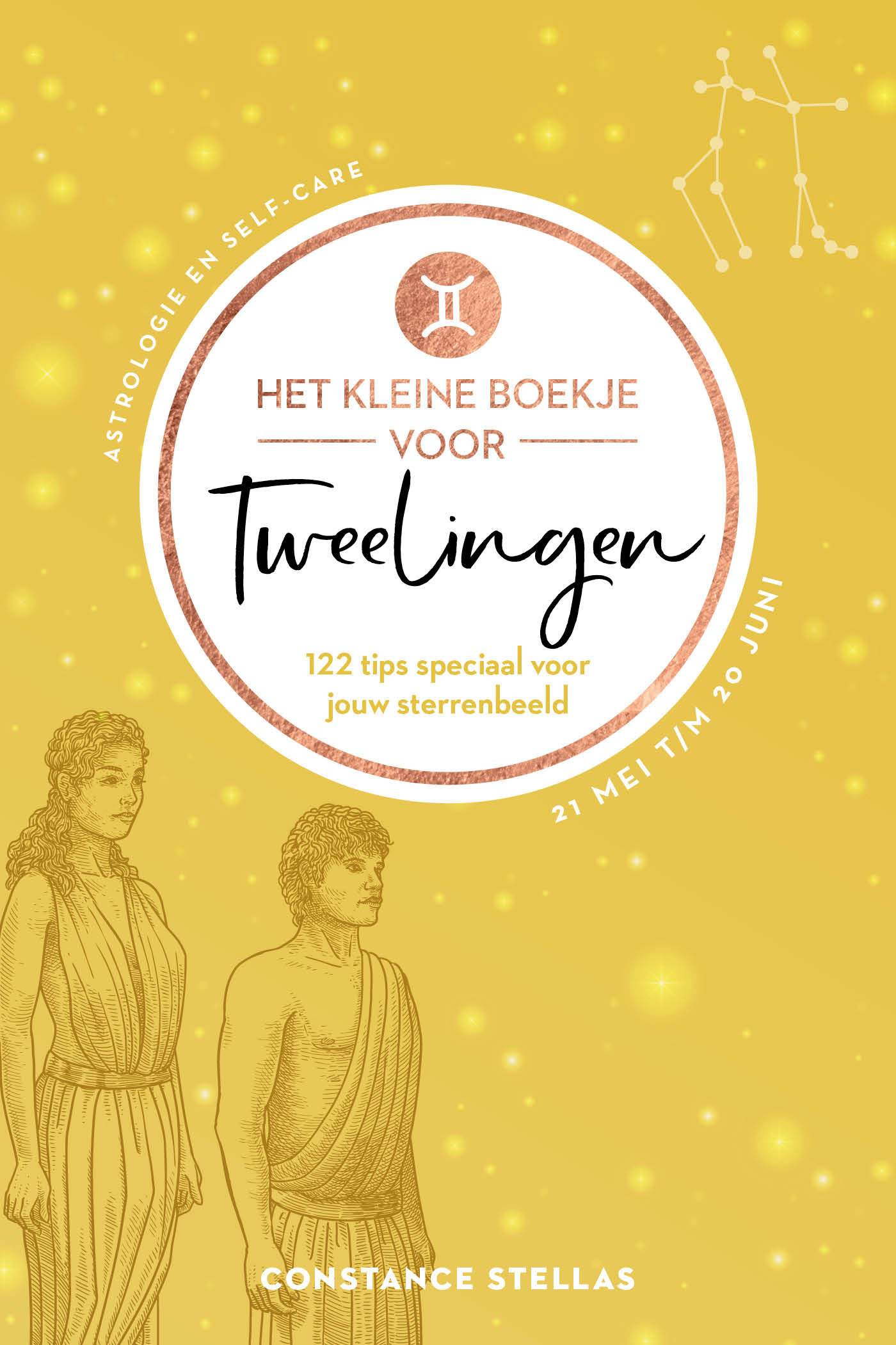 Omslag van Het kleine boekje voor Tweelingen