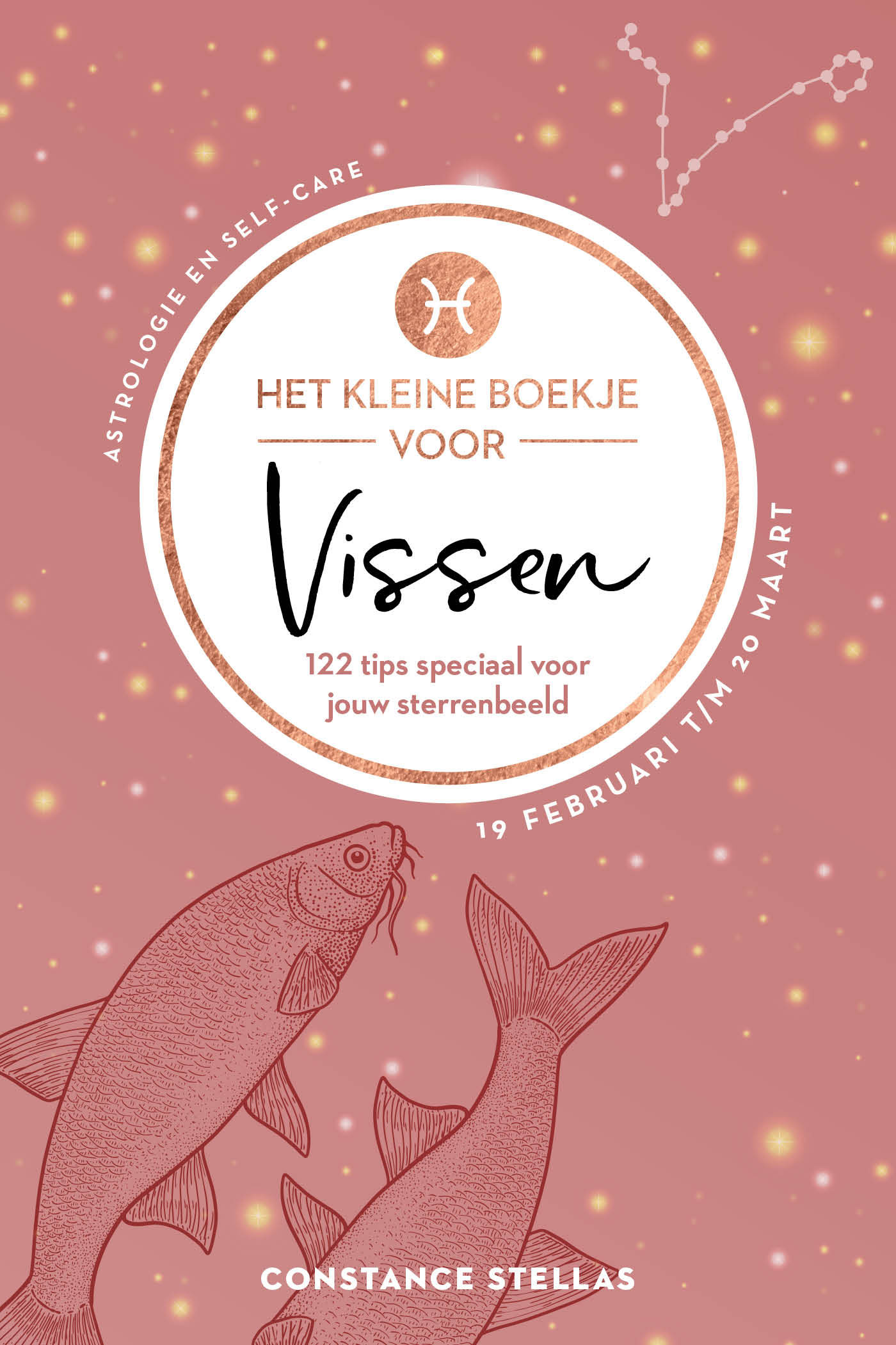 Omslag van Het kleine boekje voor Vissen