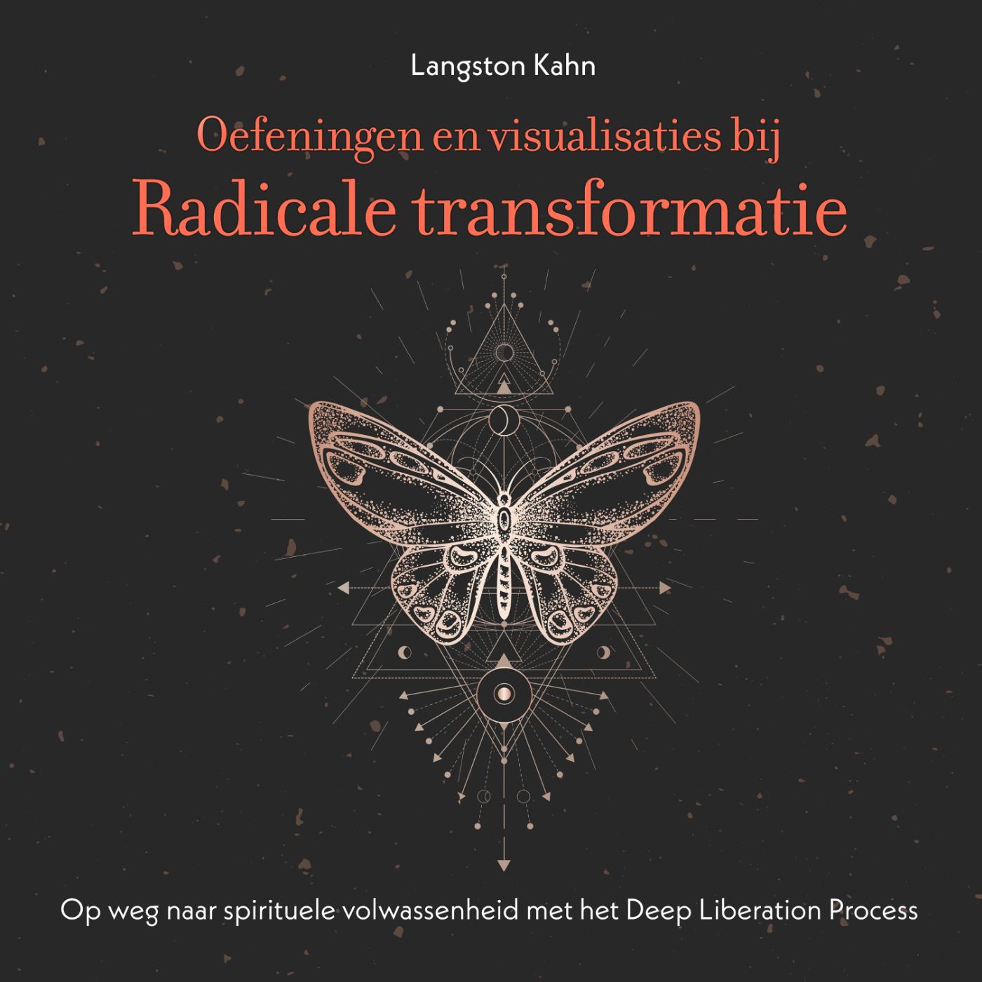 Omslag van Oefeningen en visualisaties bij Radicale transformatie