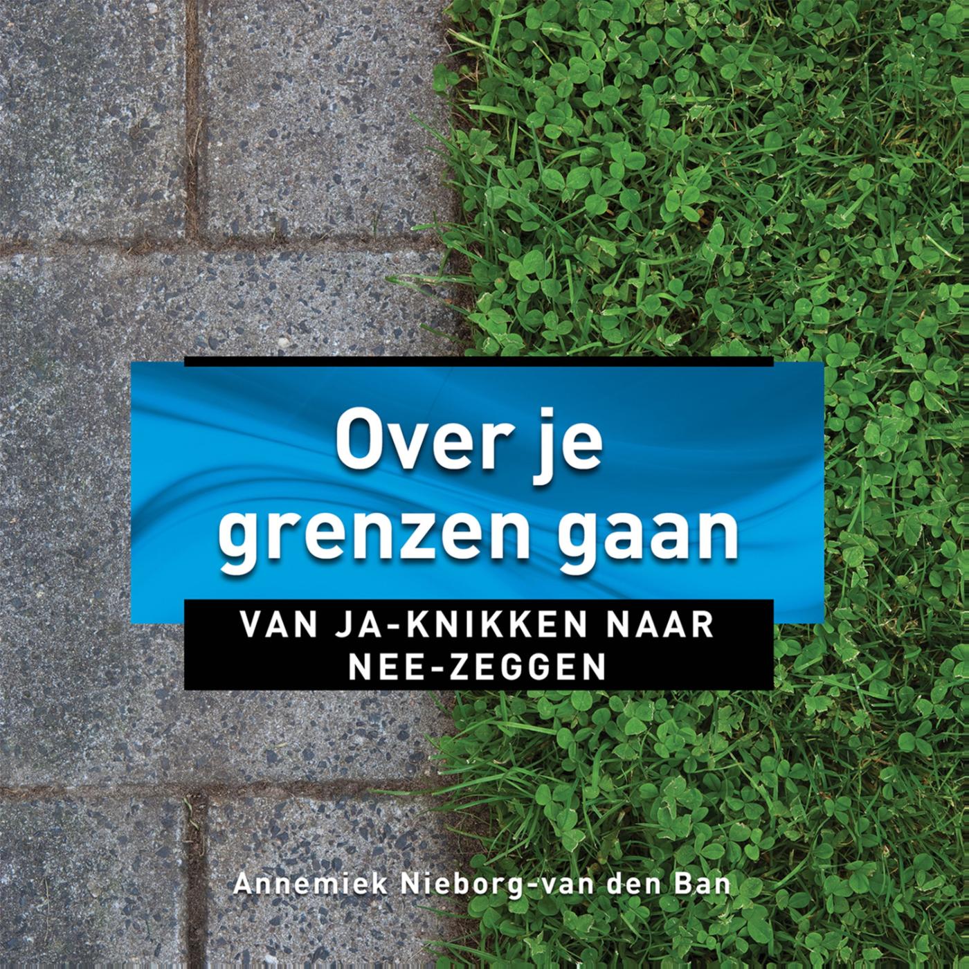 Omslag van Over je grenzen gaan