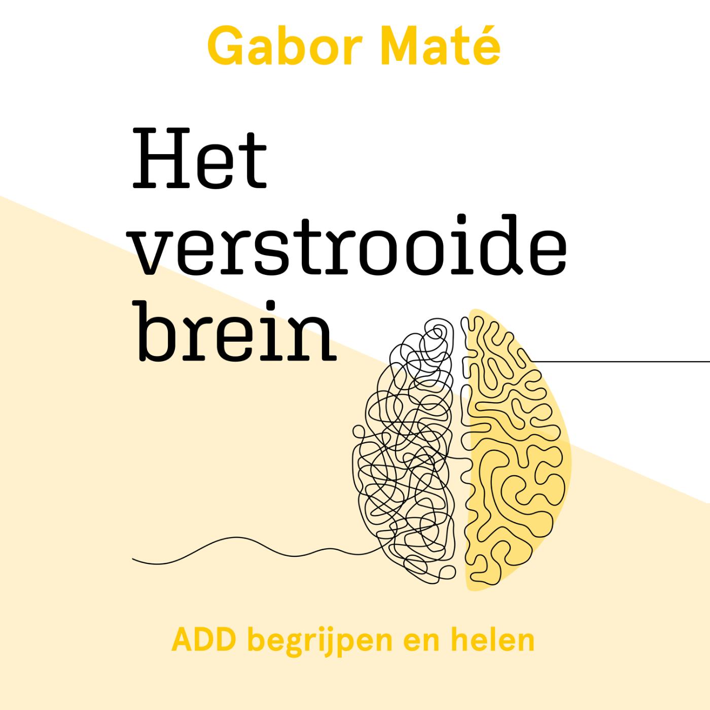 Omslag van Het verstrooide brein