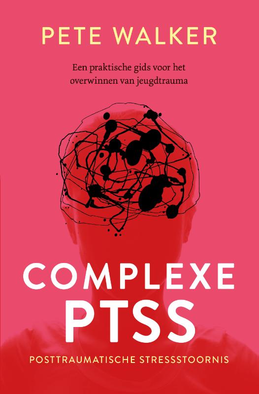 Omslag van Complexe PTSS