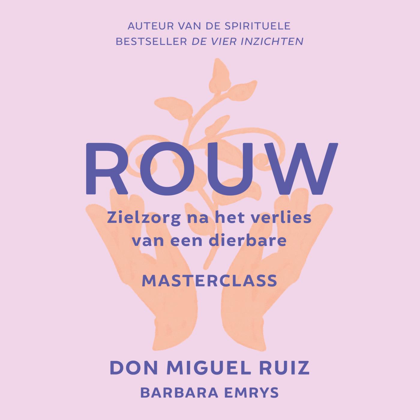 Omslag van Rouw