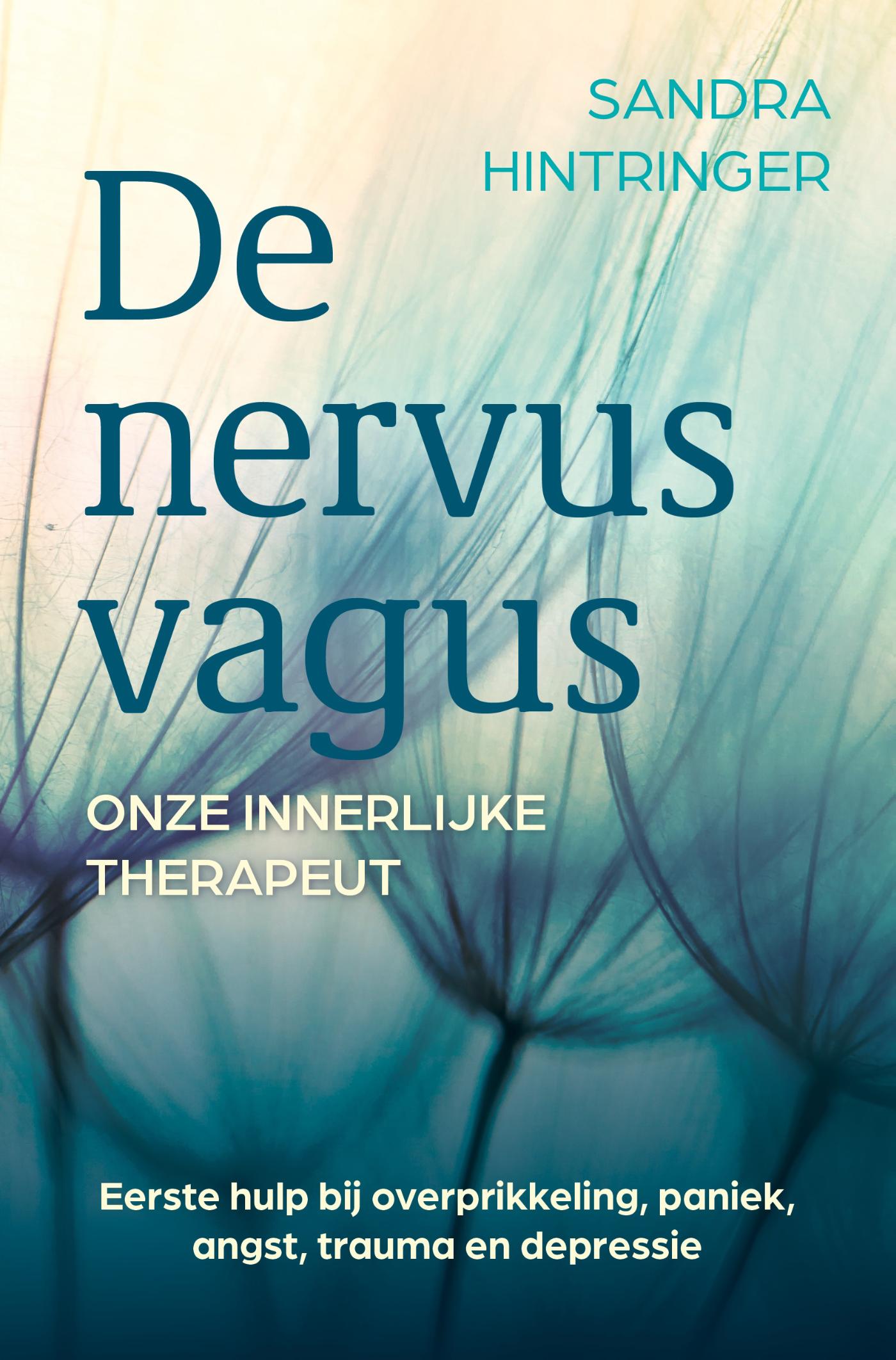 Omslag van De nervus vagus, onze innerlijke therapeut
