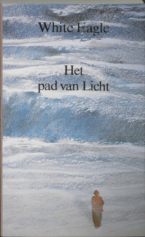 Omslag van Het pad van licht