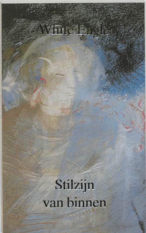 Omslag van Stilzijn van binnen