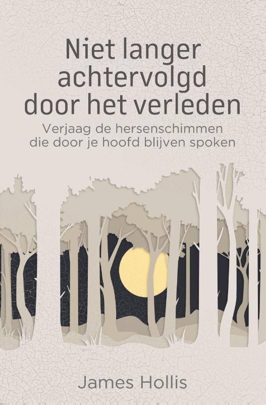 Omslag van Niet langer achtervolgd door het verleden