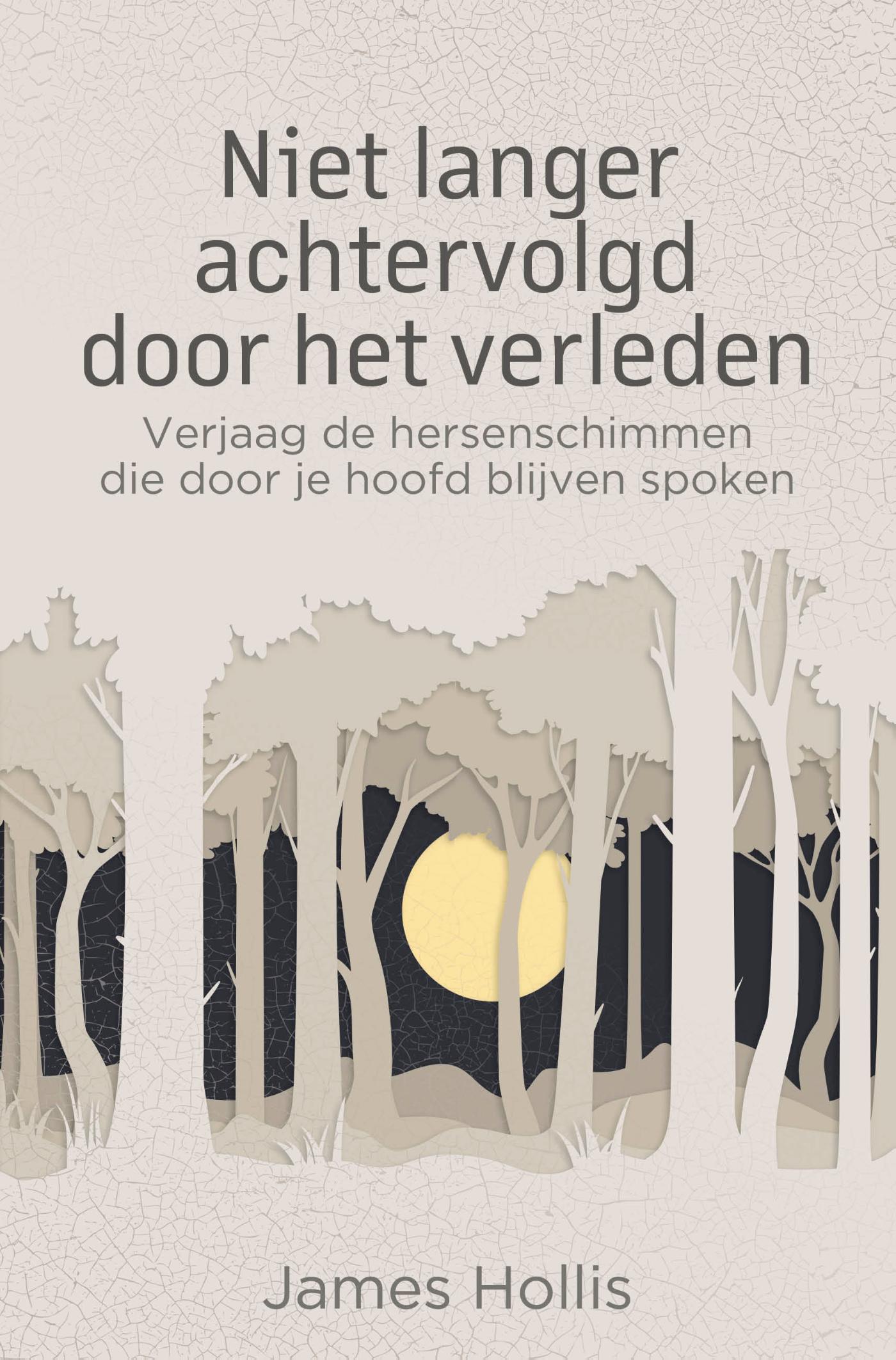 Omslag van Niet langer achtervolgd door het verleden