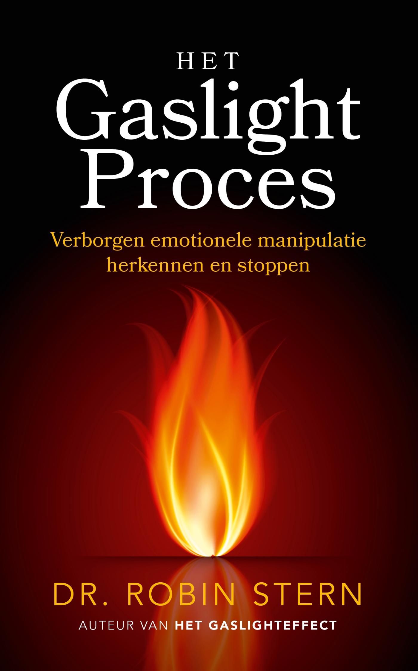 Omslag van Het gaslightproces
