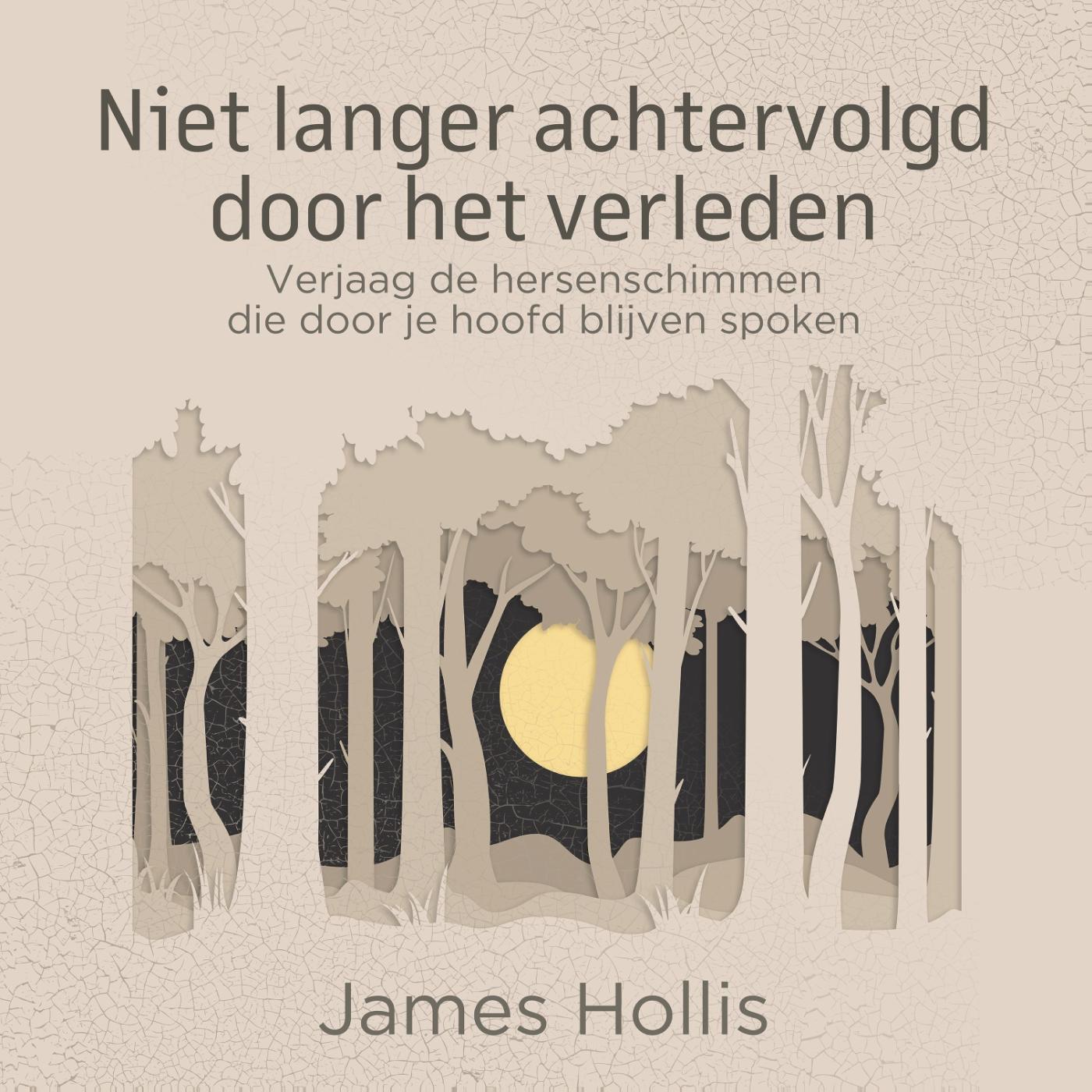 Omslag van Niet langer achtervolgd door het verleden