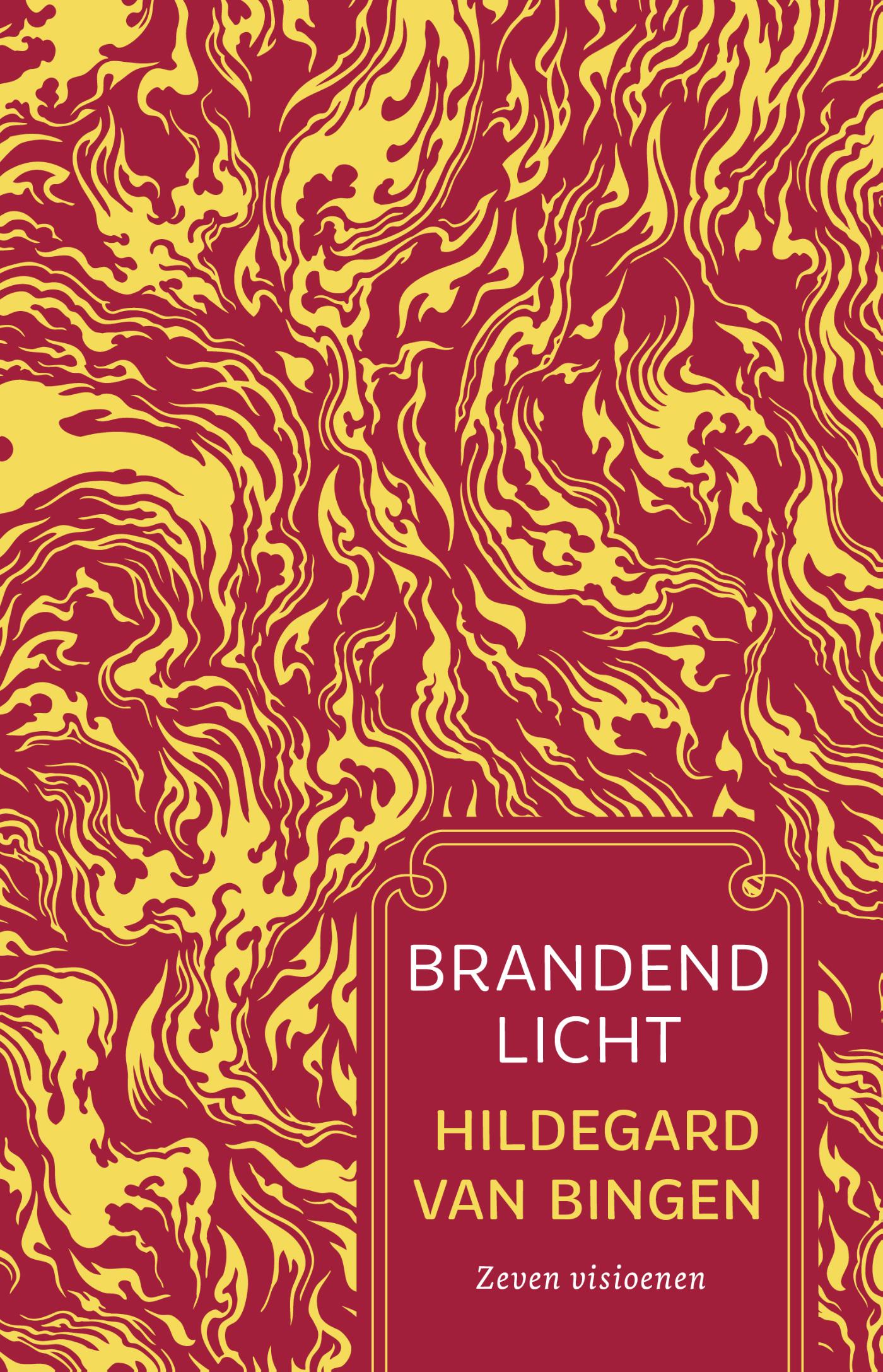 Omslag van Brandend licht