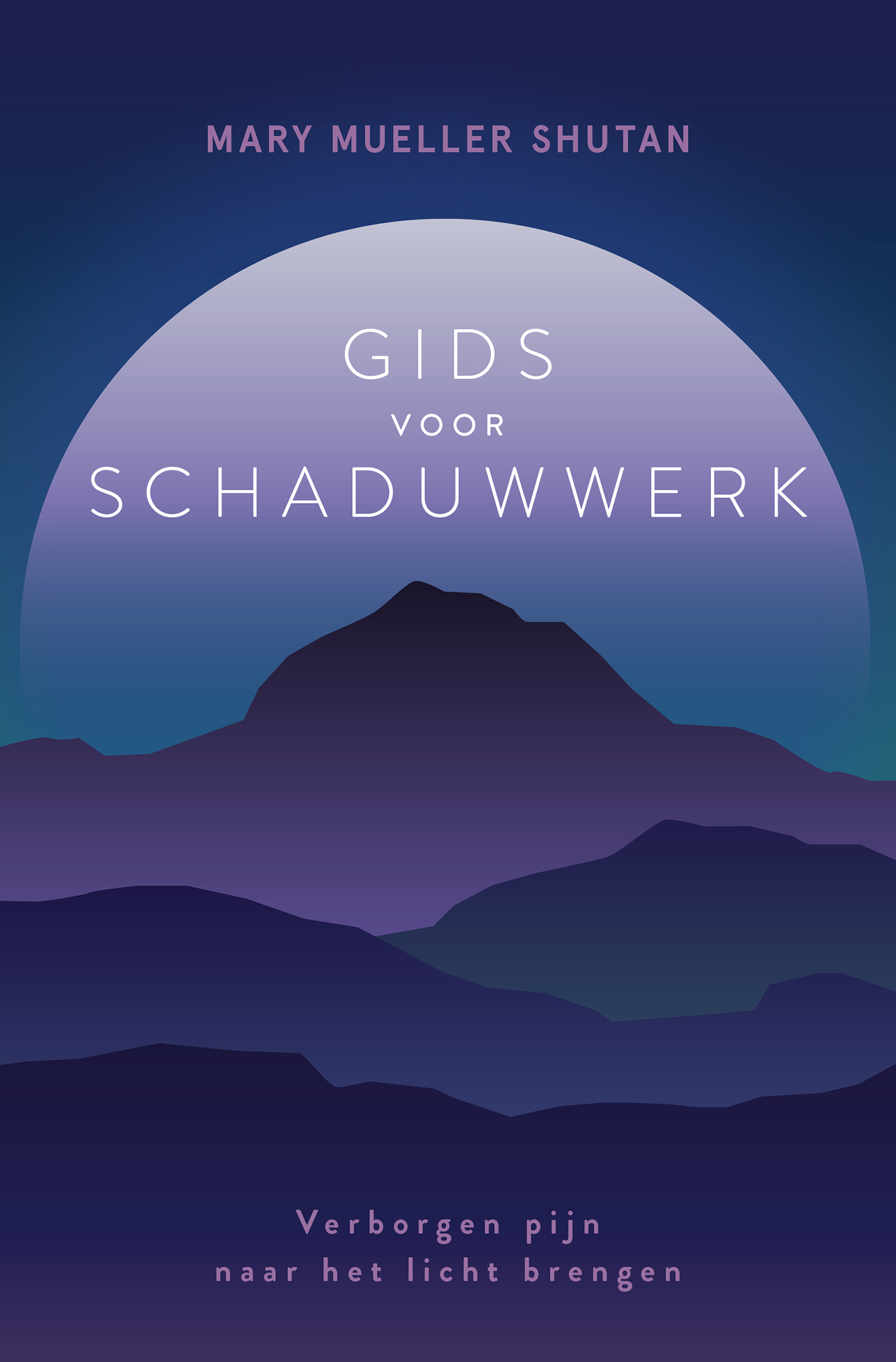Omslag van Gids voor schaduwwerk