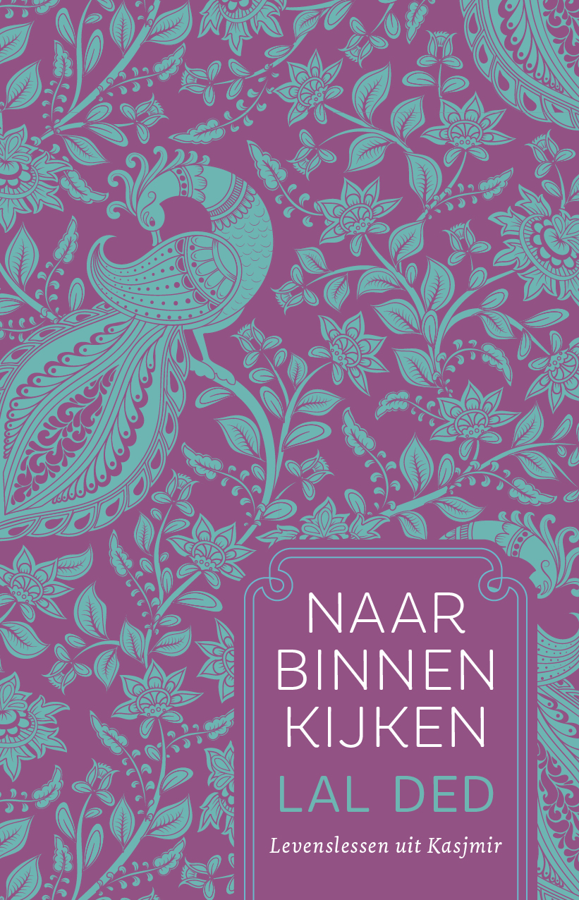 Omslag van Naar binnen kijken