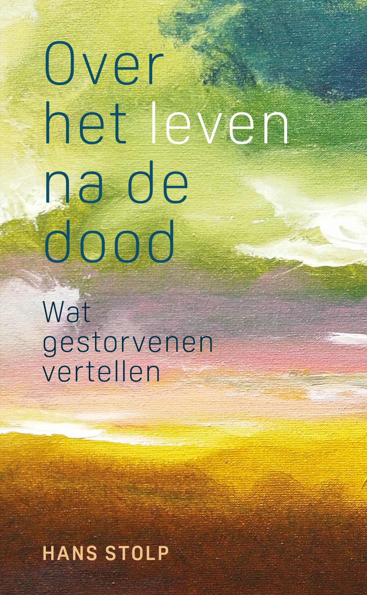 Omslag van Over het leven na de dood
