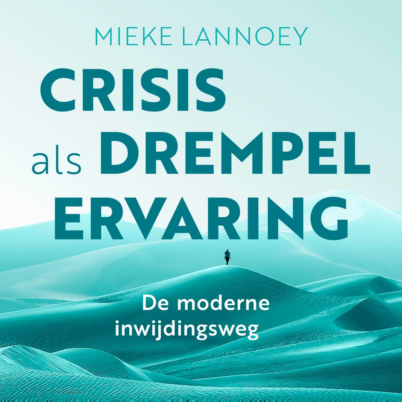 Omslag van Crisis als drempelervaring