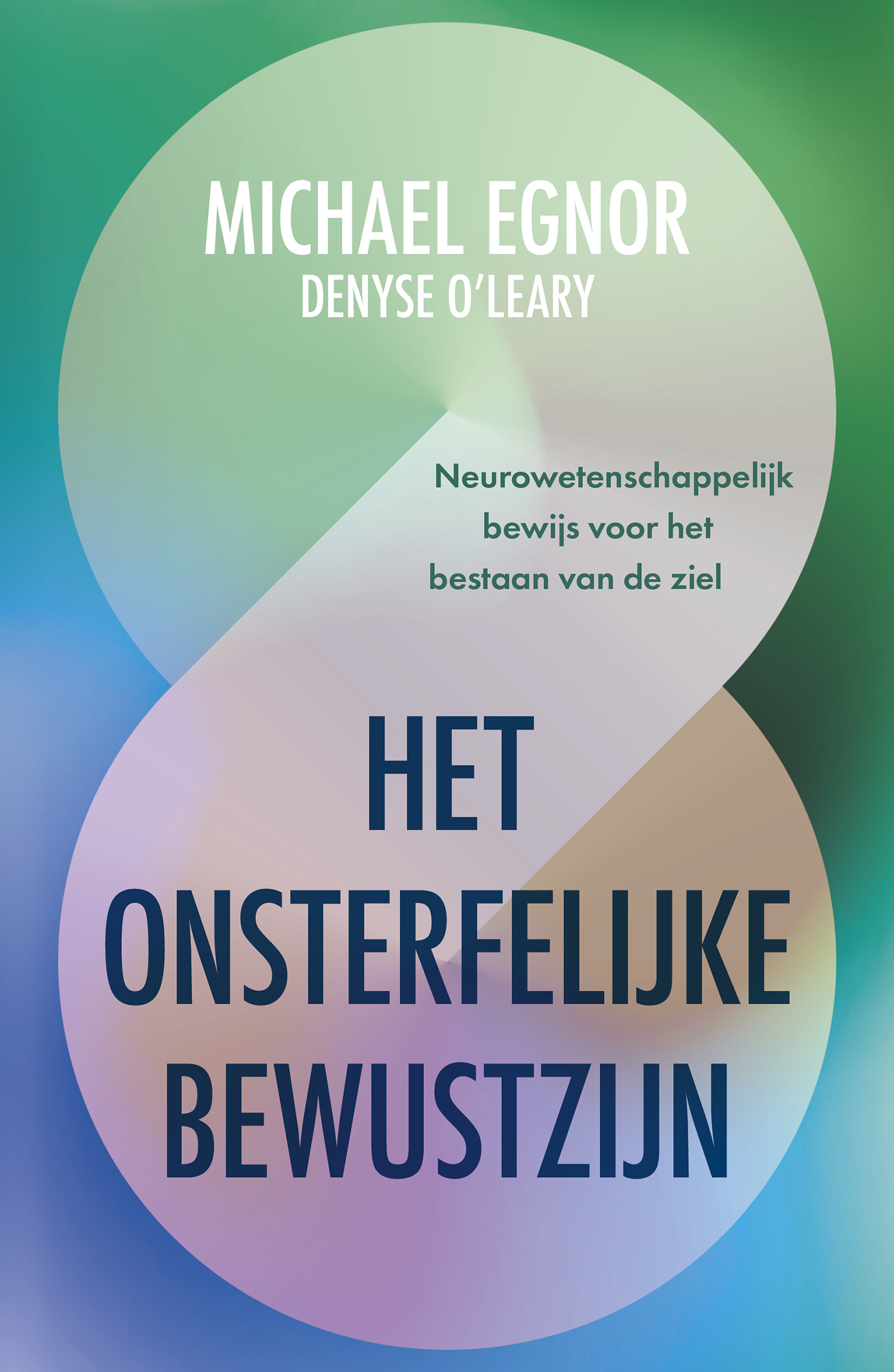 Omslag van Het onsterfelijke bewustzijn