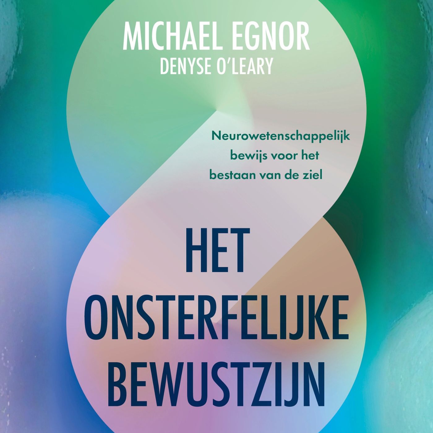 Omslag van Het onsterfelijke bewustzijn