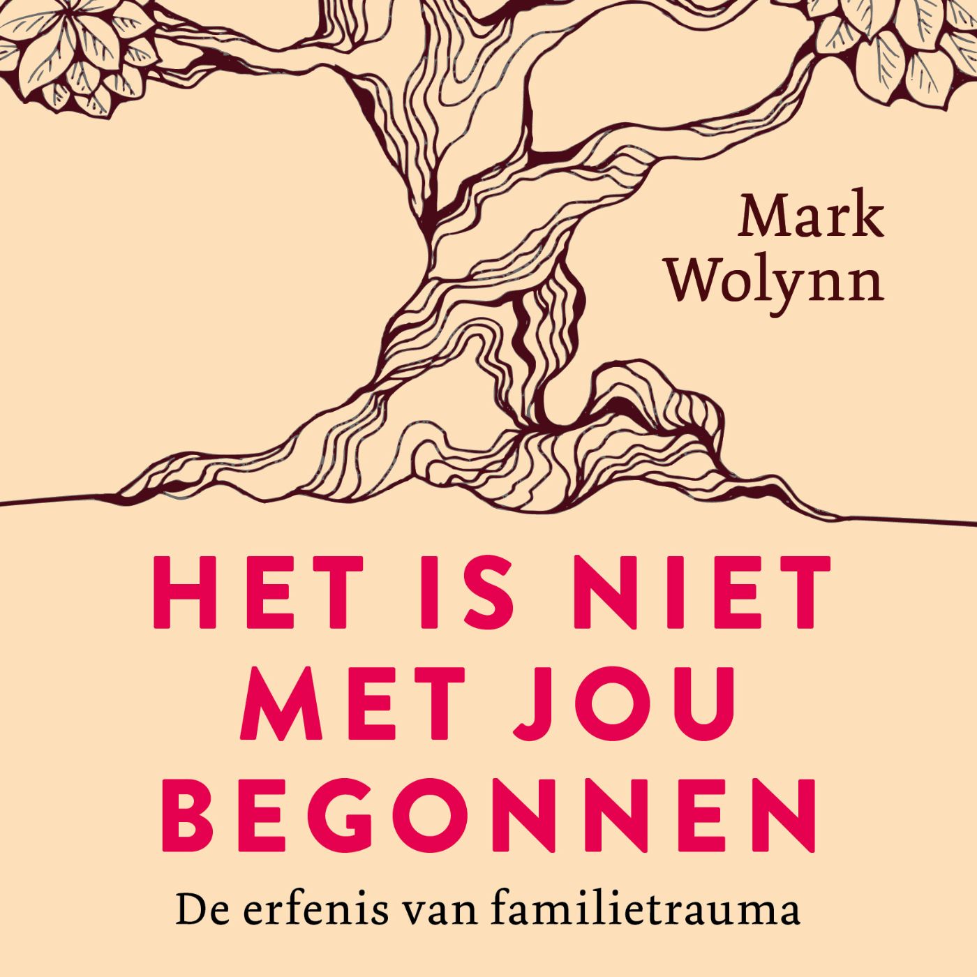 Omslag van Het is niet met jou begonnen