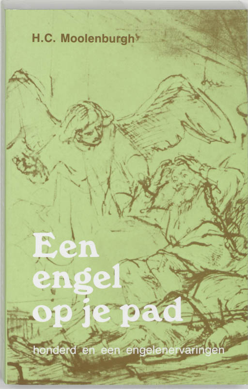 Omslag van Een engel op je pad