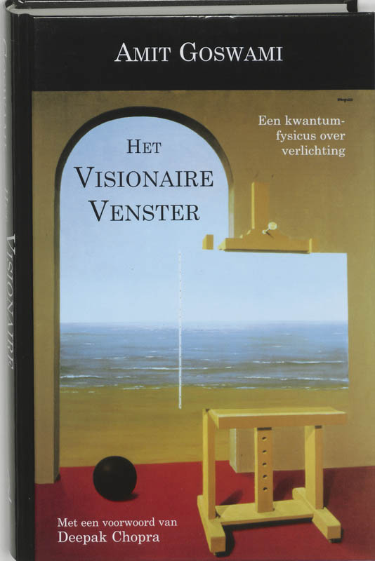 Omslag van Het visionaire venster