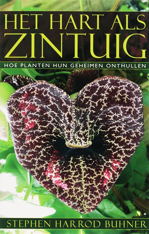 Omslag van Het hart als zintuig