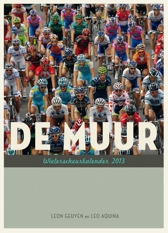 Omslag van 2013