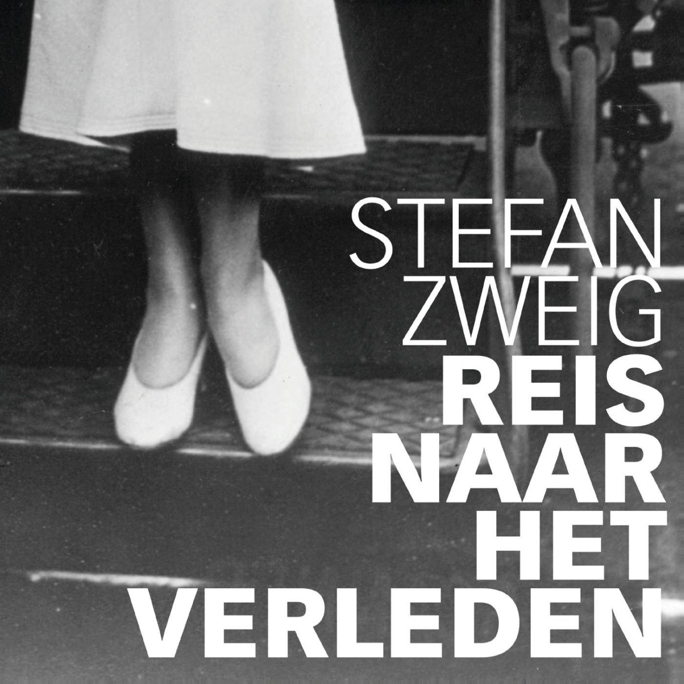Omslag van Reis naar het verleden