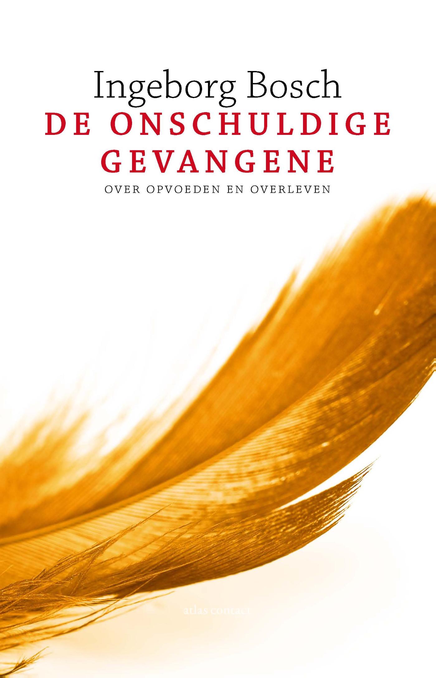 Omslag van De onschuldige gevangene
