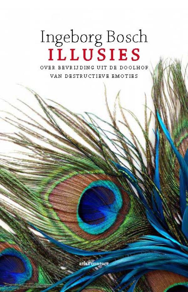 Omslag van Illusies