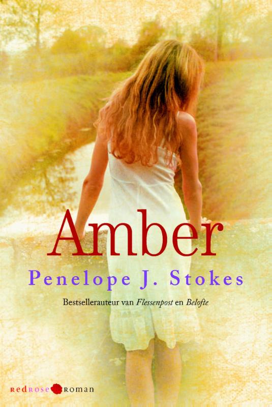 Omslag van Amber