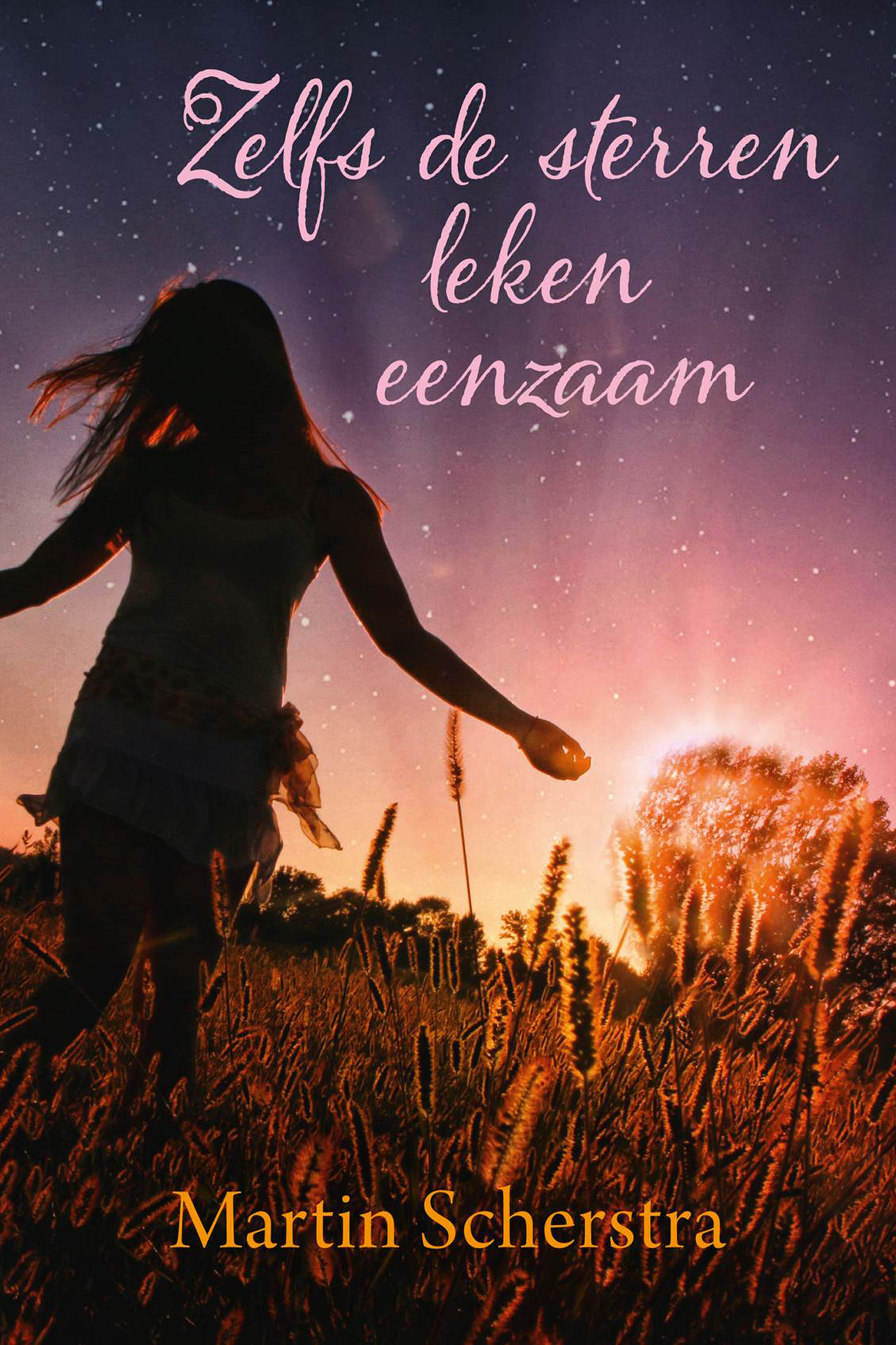 Omslag van Zelfs de sterren leken eenzaam