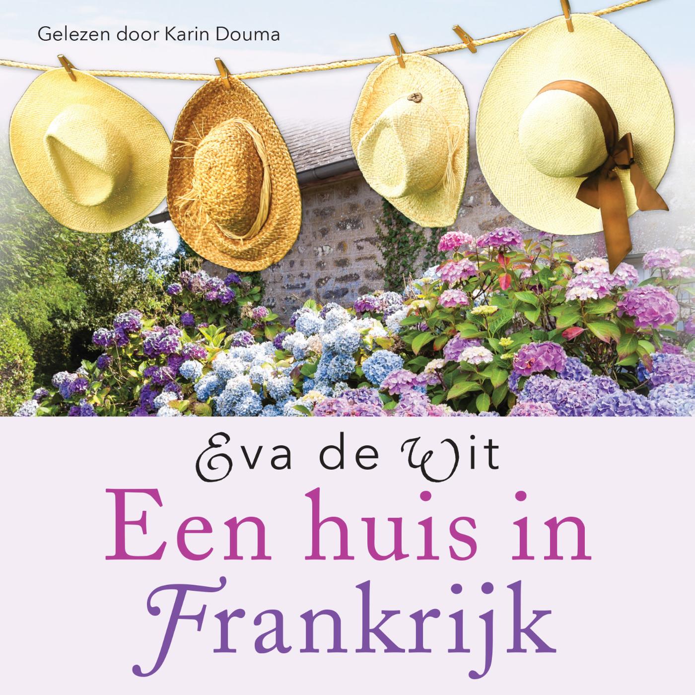 Omslag van Een huis in Frankrijk