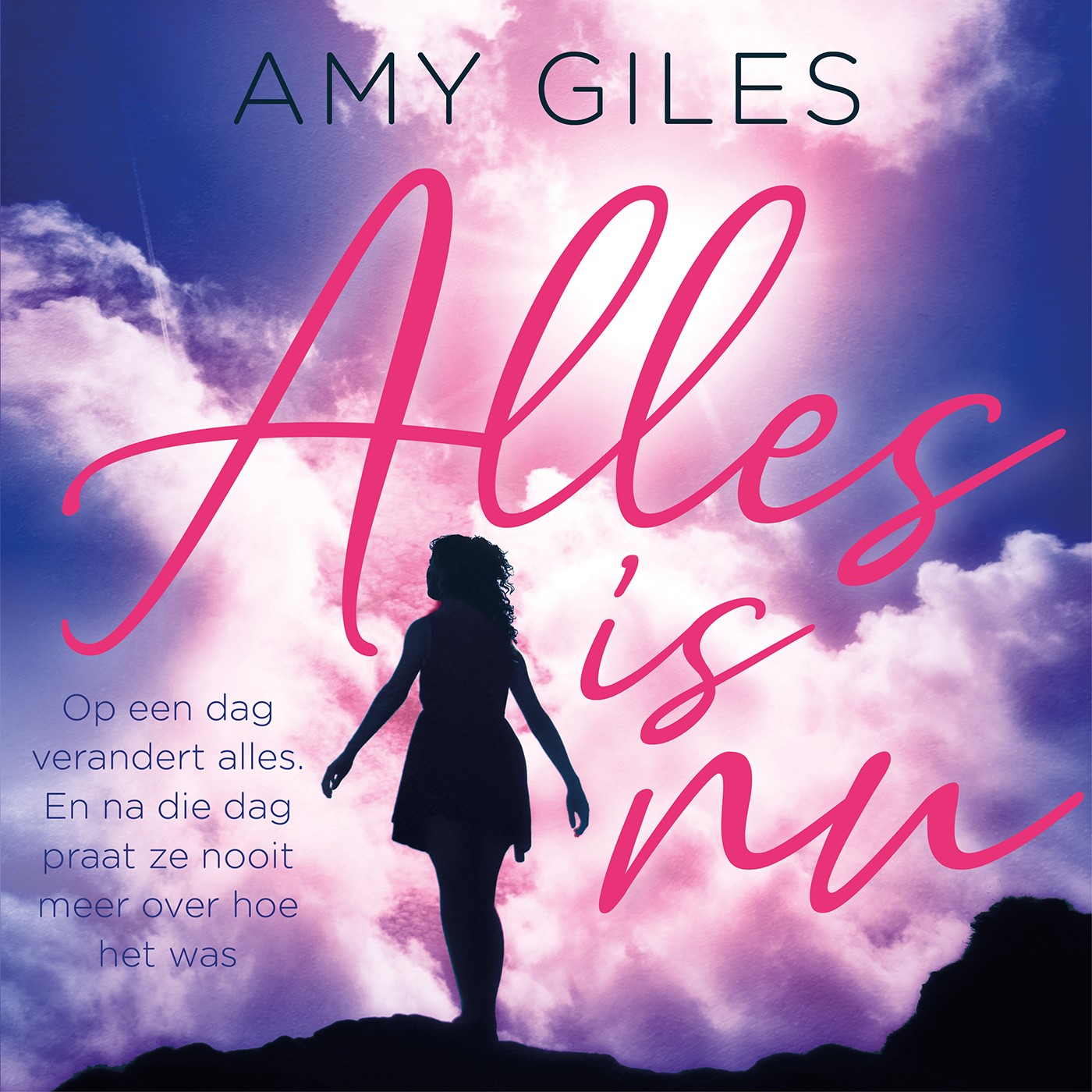 Omslag van Alles is nu
