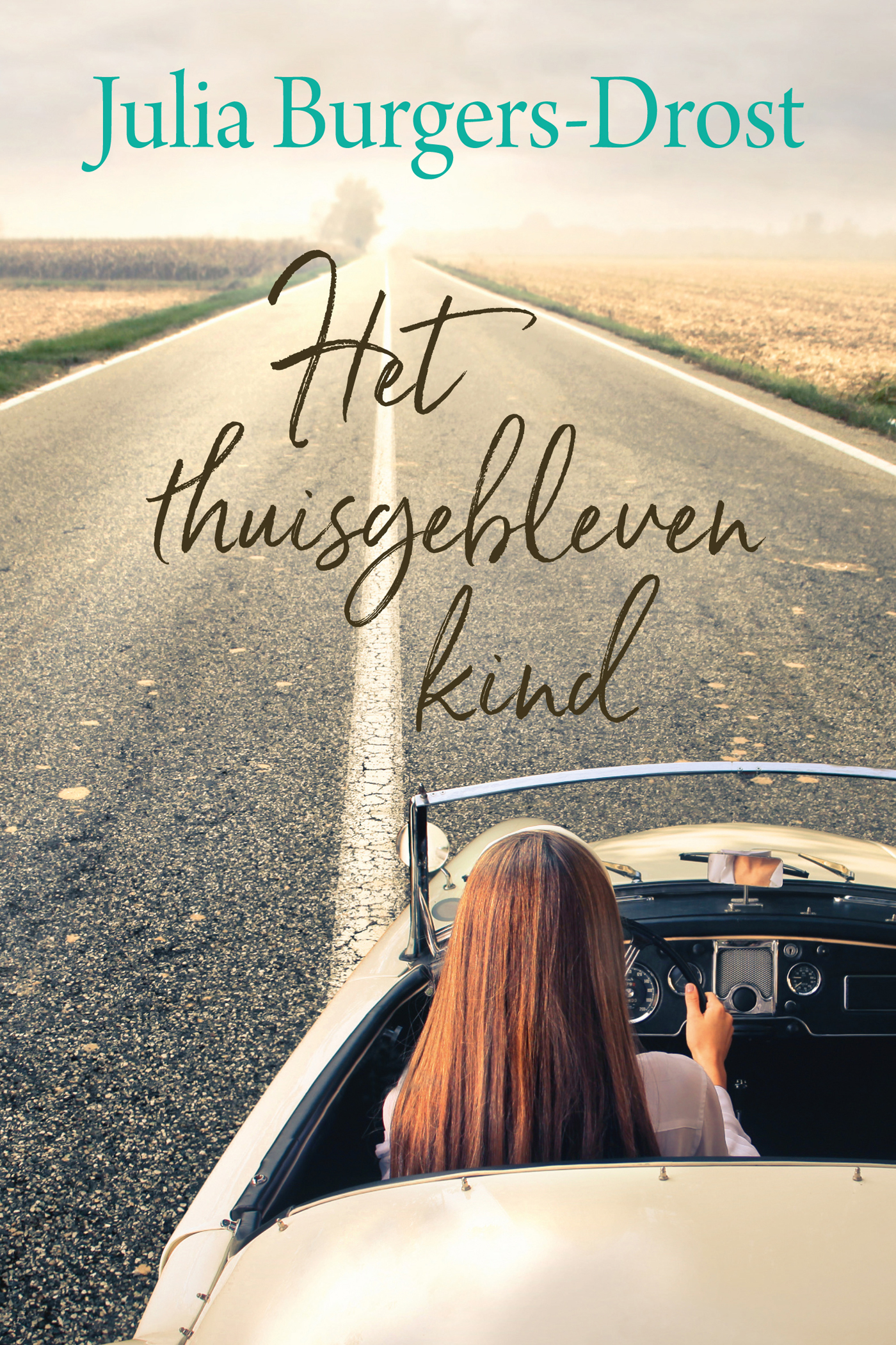 Omslag van Het thuisgebleven kind