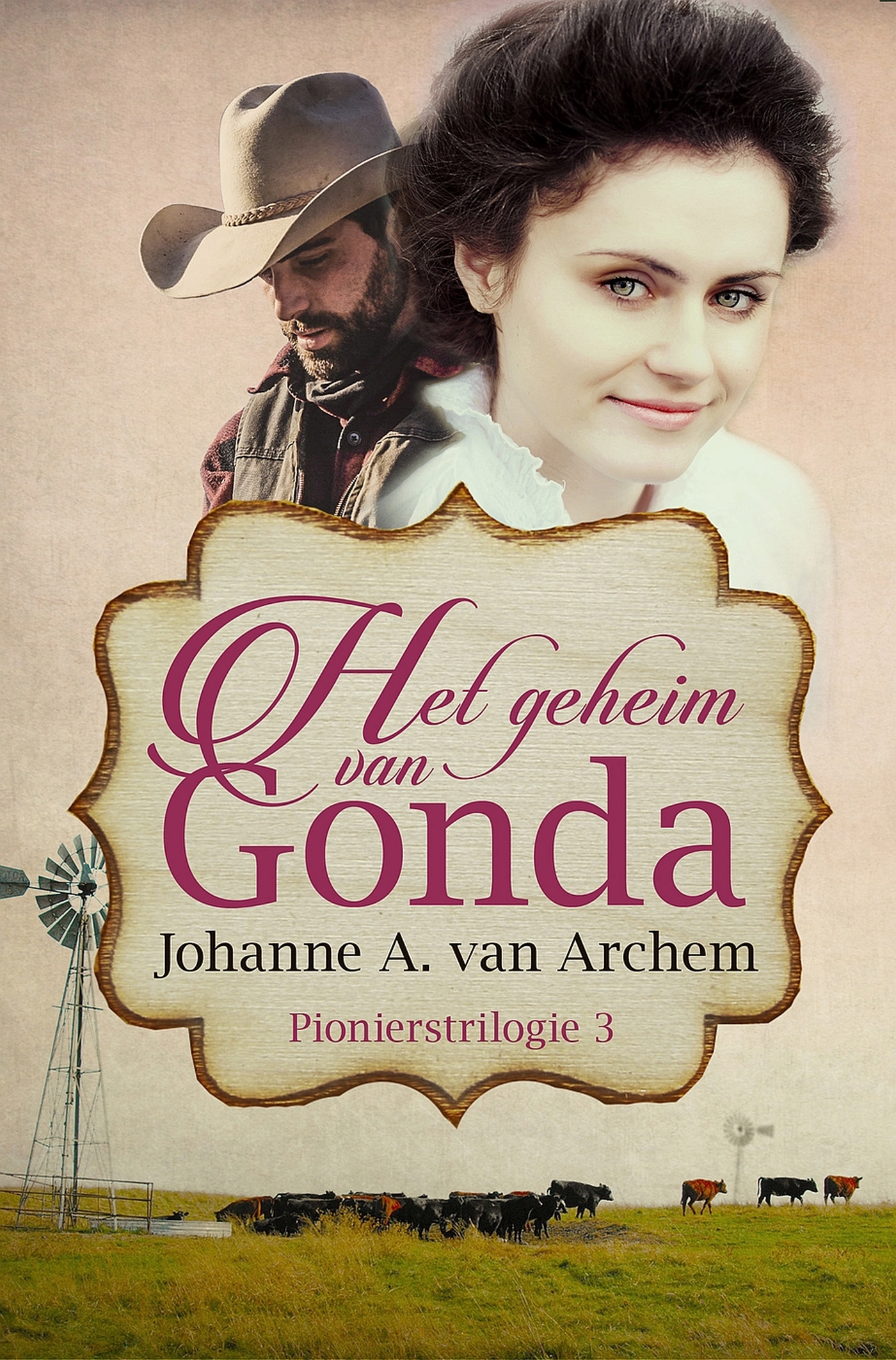 Omslag van Het geheim van Gonda