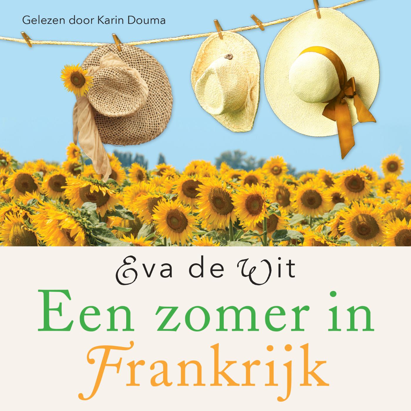 Omslag van Een zomer in Frankrijk