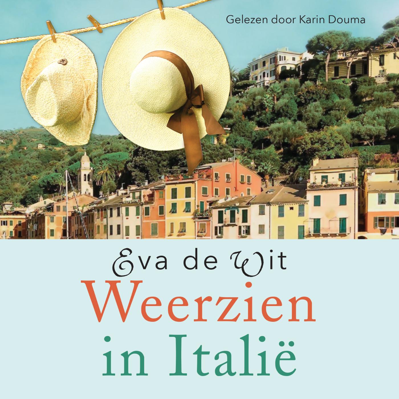 Omslag van Weerzien in Italië