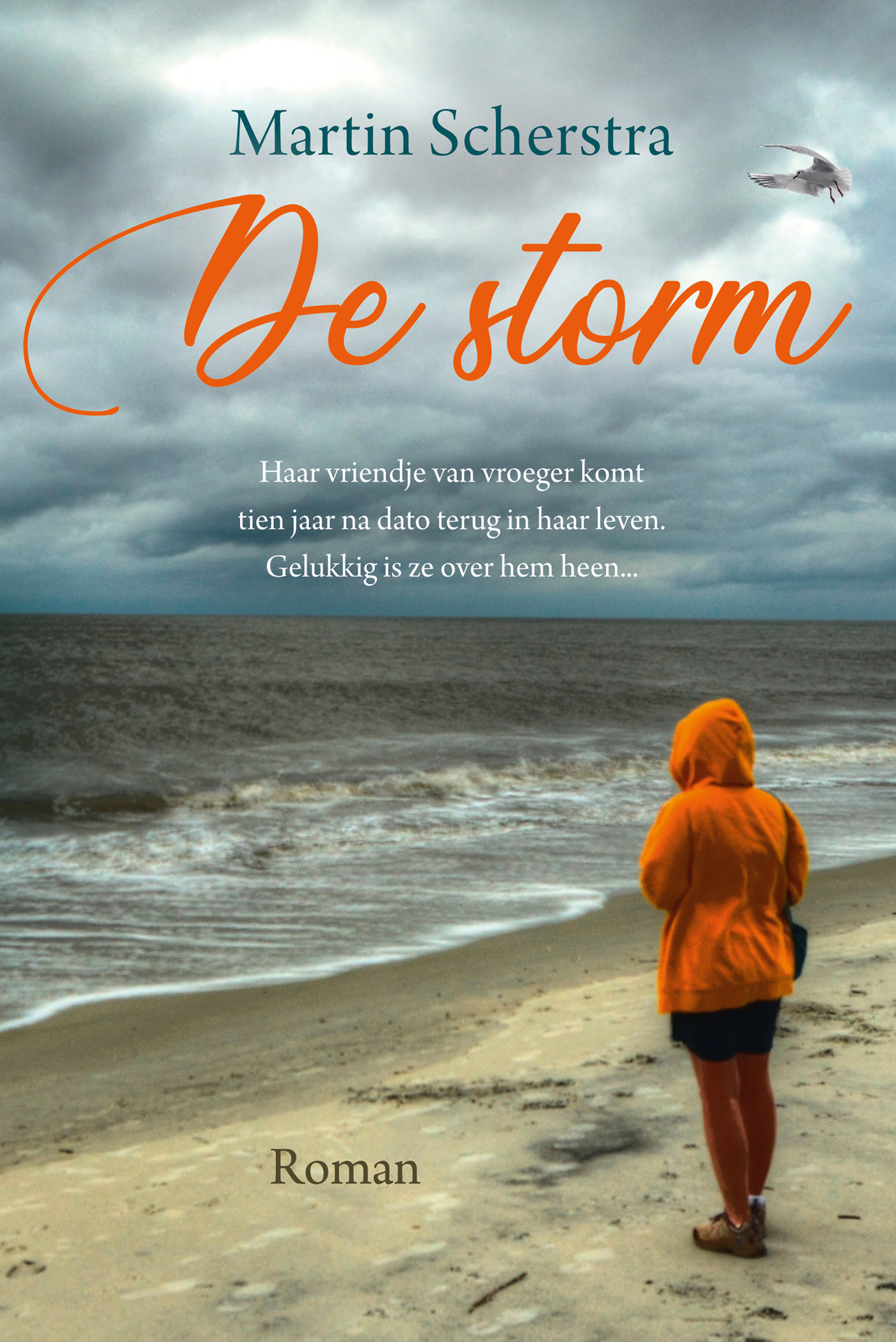 Omslag van De storm