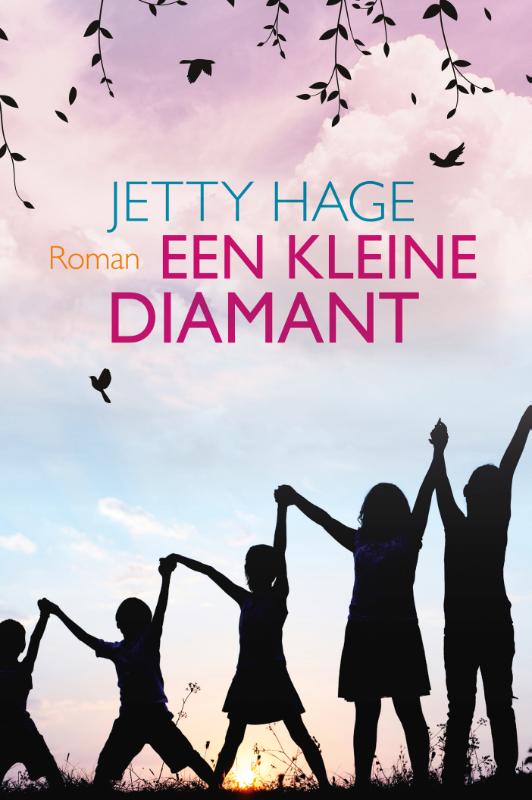 Omslag van Een kleine diamant