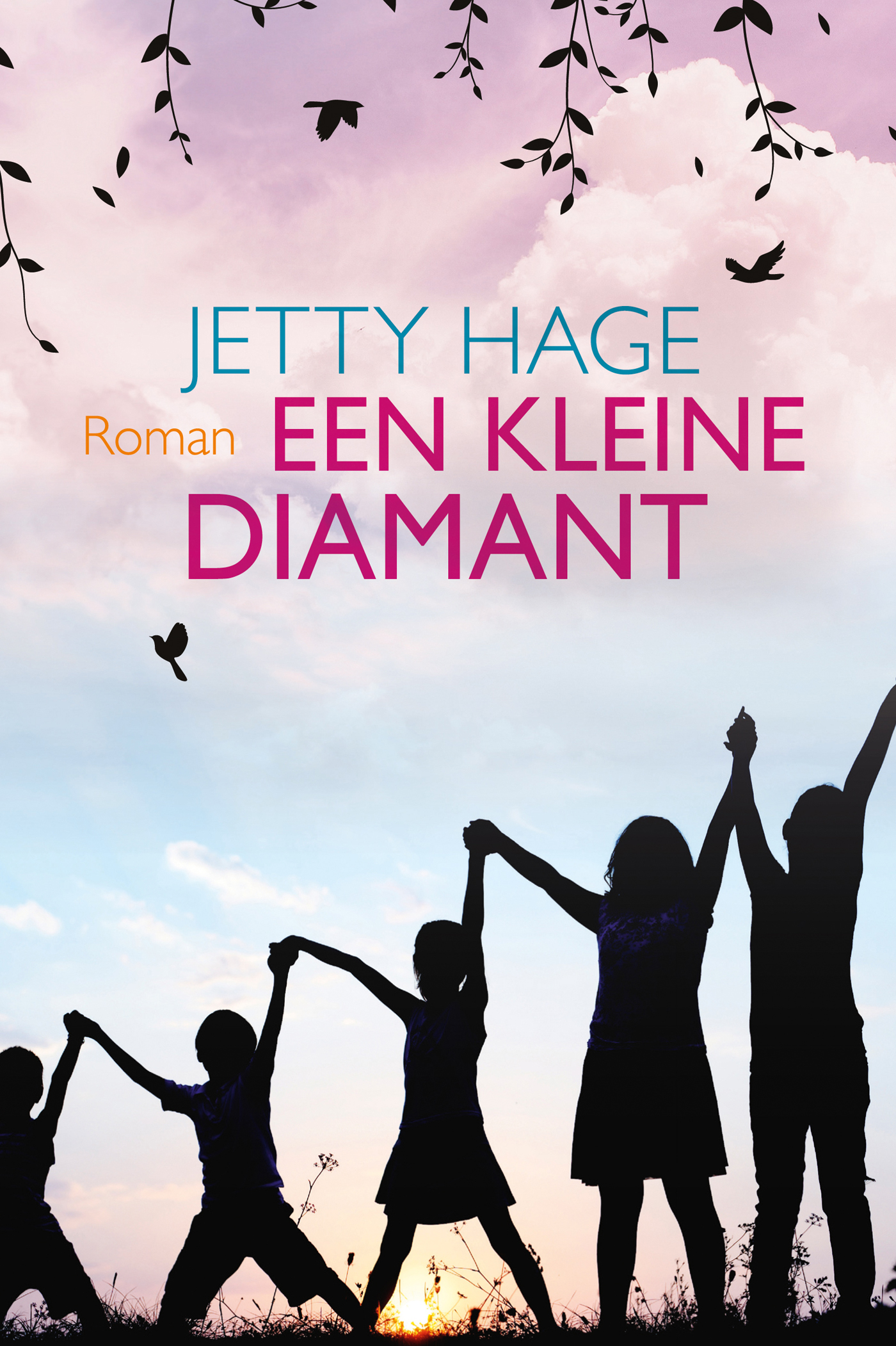 Omslag van Een kleine diamant