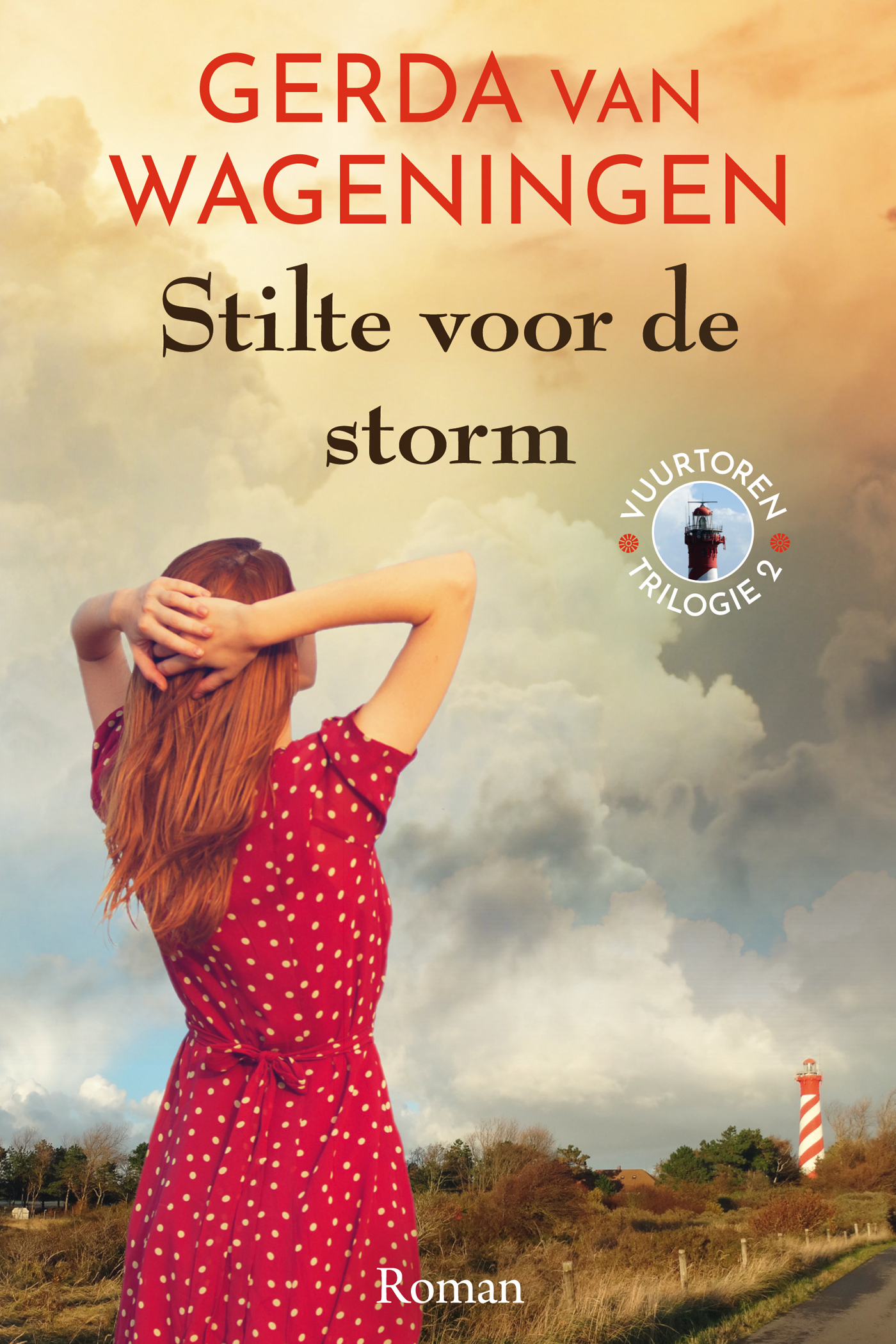 Omslag van Stilte voor de storm