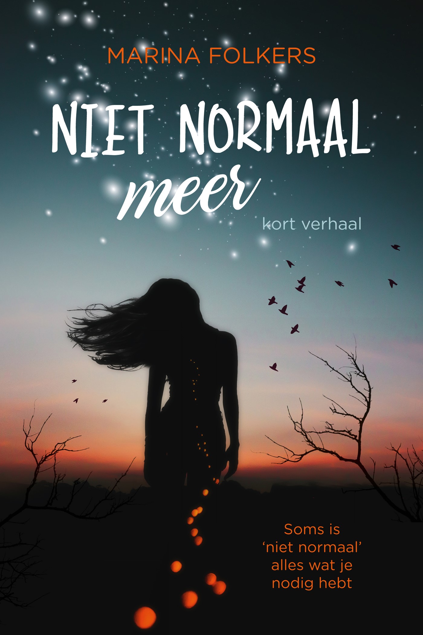 Omslag van Niet normaal meer
