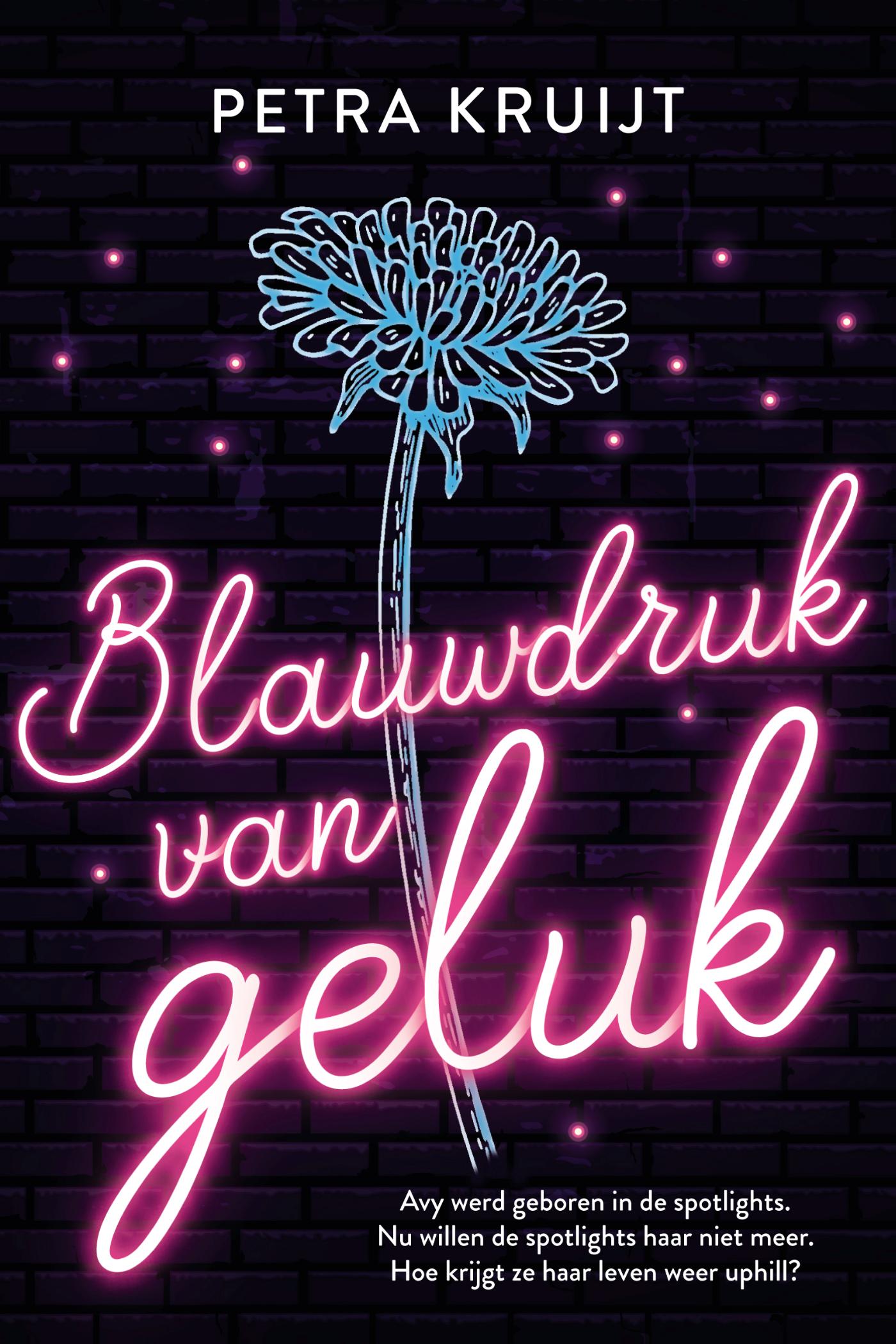 Omslag van Blauwdruk van geluk