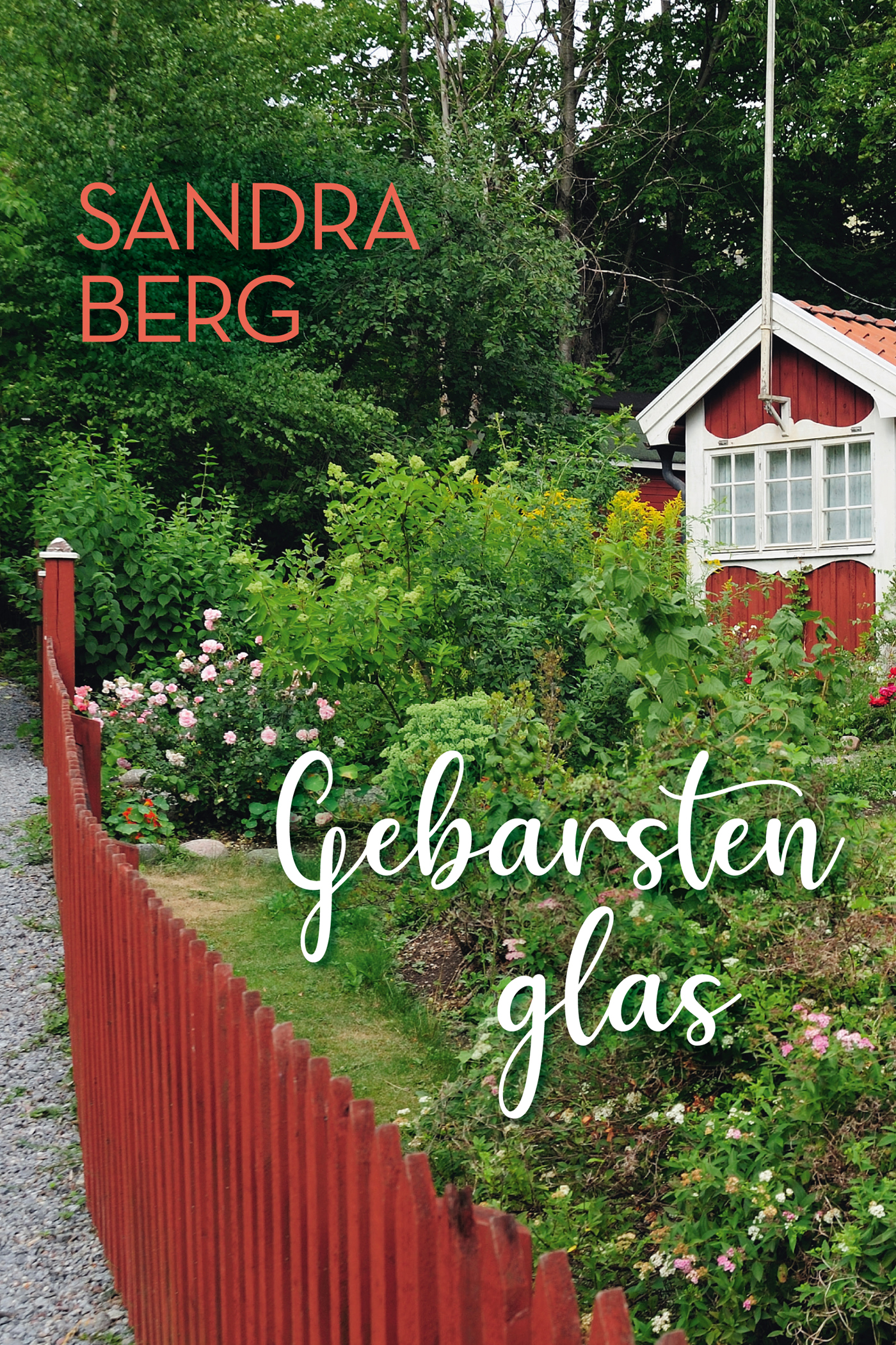 Omslag van Gebarsten glas