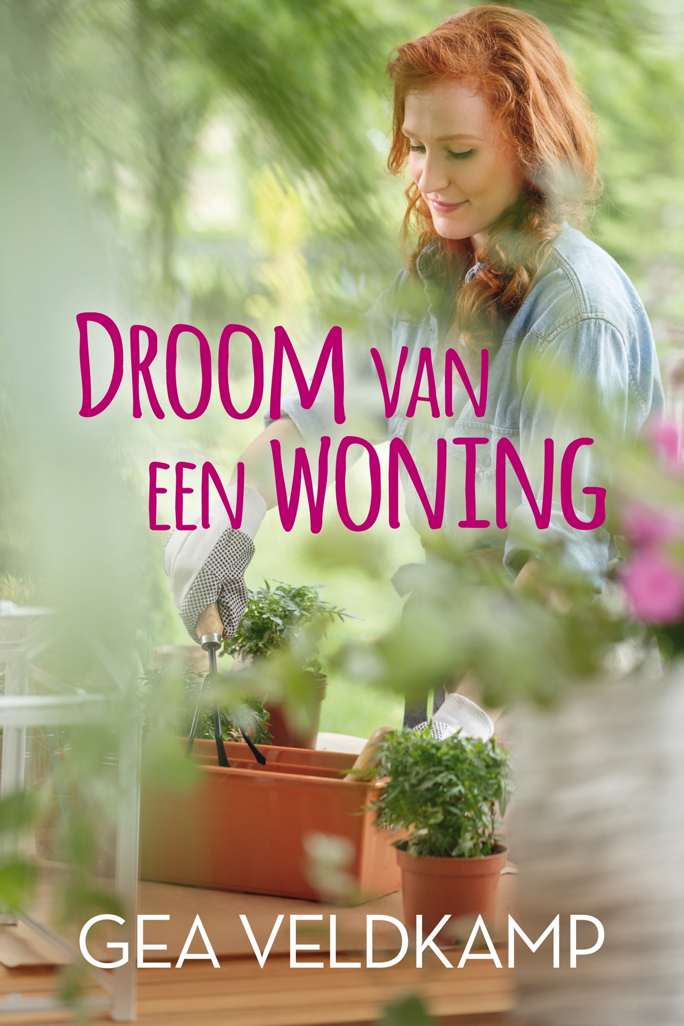 Omslag van Droom van een woning