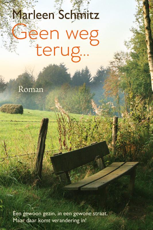 Omslag van Geen weg terug