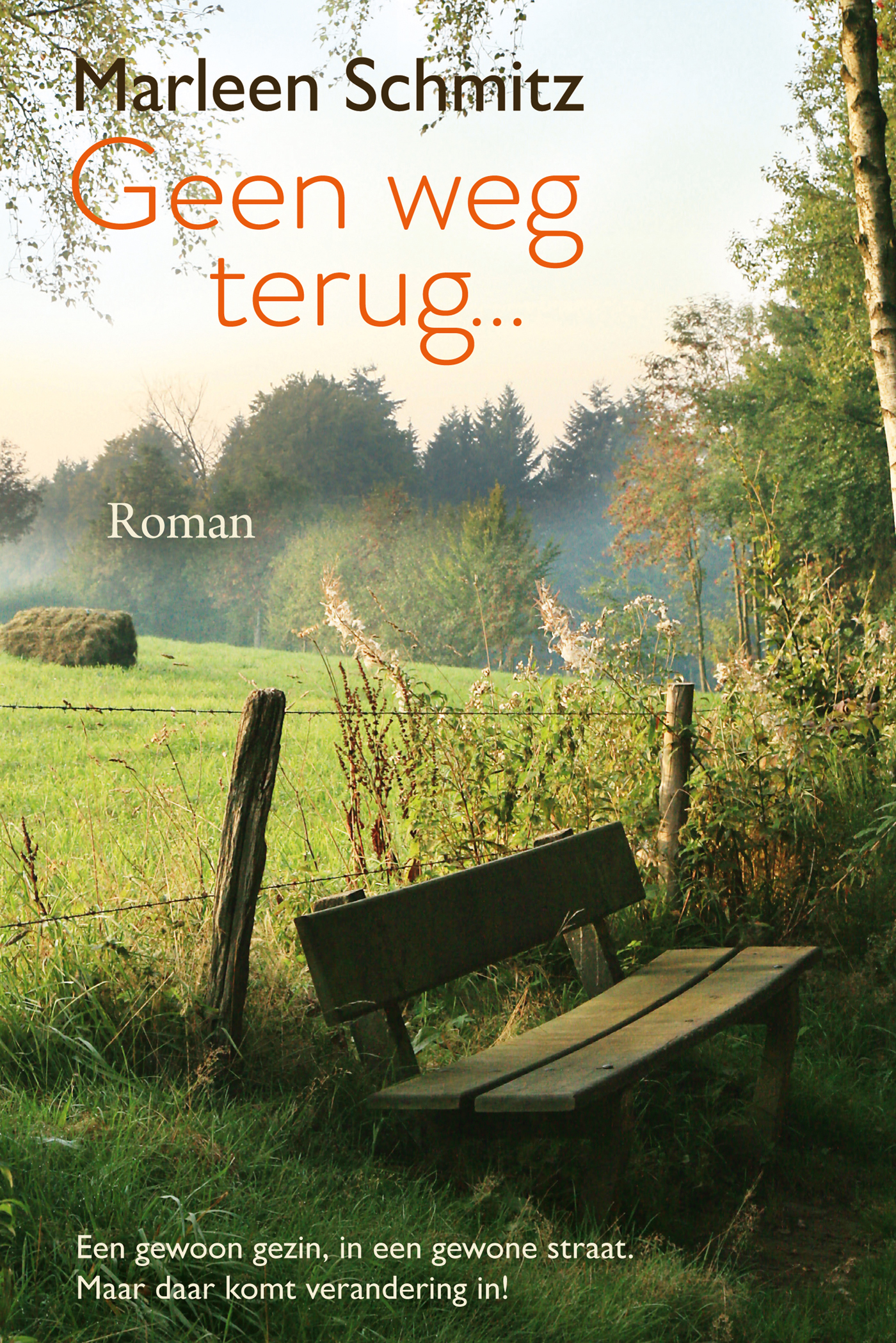 Omslag van Geen weg terug