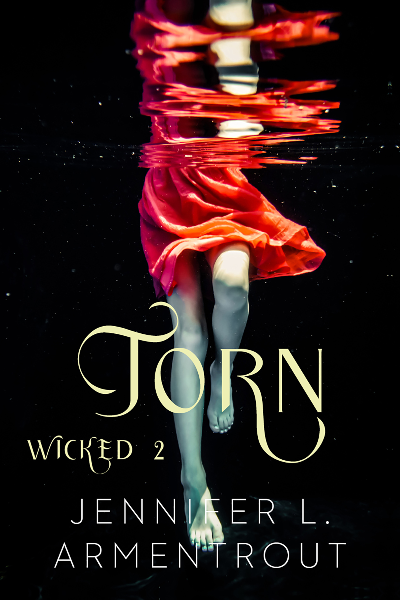 Omslag van Torn