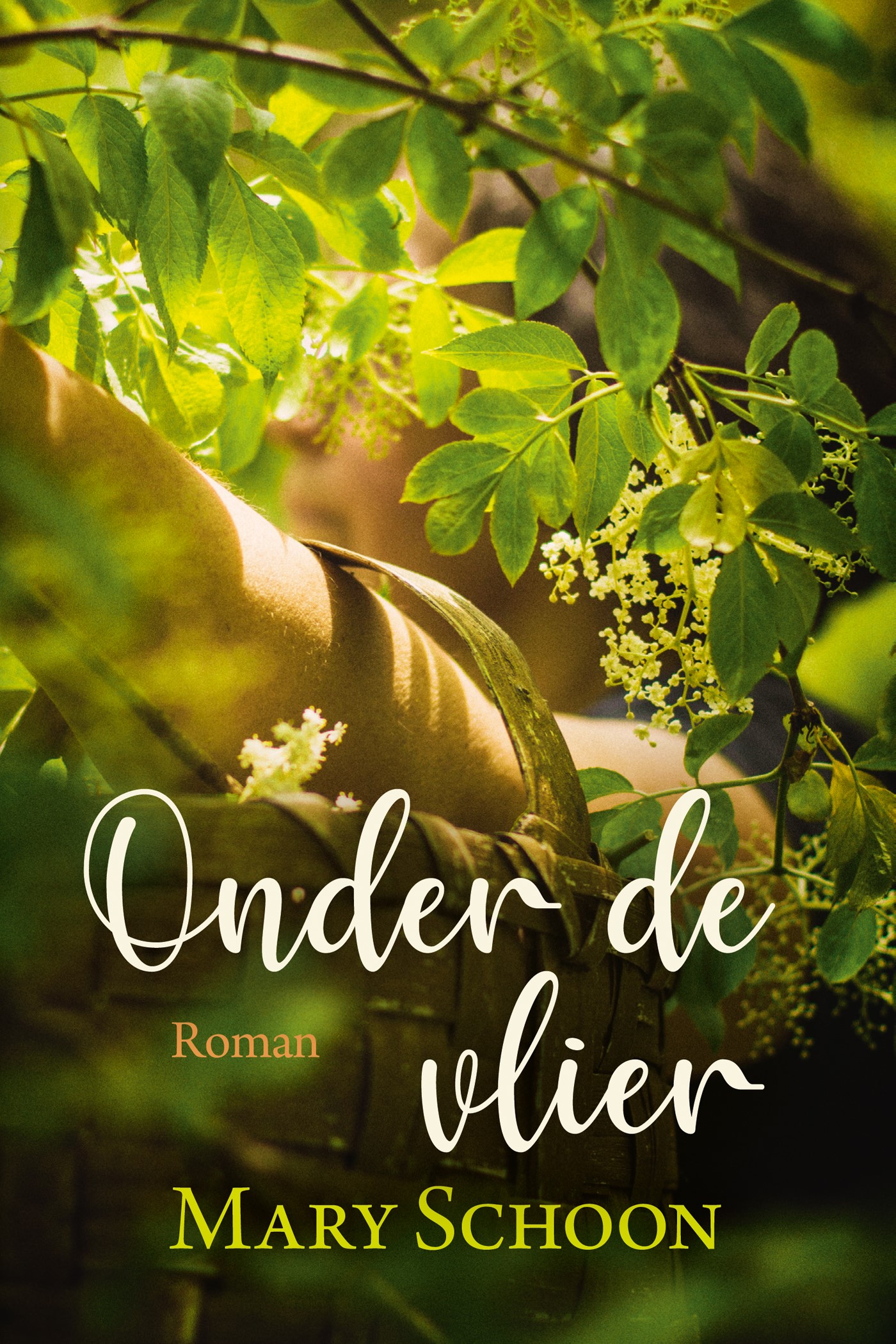 Omslag van Onder de Vlier
